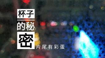 威海酒店爆料视频最新版,惊人内幕曝光！