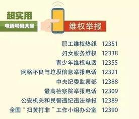 海都新闻爆料电话号码是多少,揭秘独家新闻背后的神秘电话